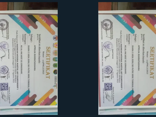 Sabet Dua Gelar Juara 1 Sekaligus, Pesilat Putri MIA 02 Aprilia Rohmatuzzahra Berjaya di Kejuaraan Silat Pasuruan 2023